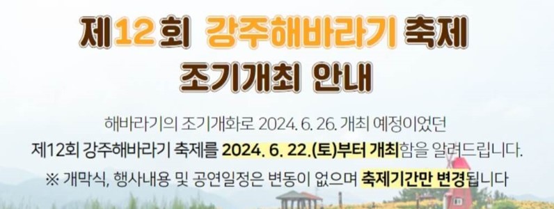 함안-강주-해바라기축제