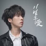 가수 재하