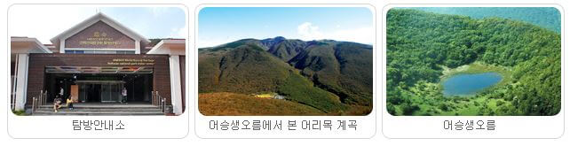 어승생악탐방로 – 30분 소요되는 간단한 코스