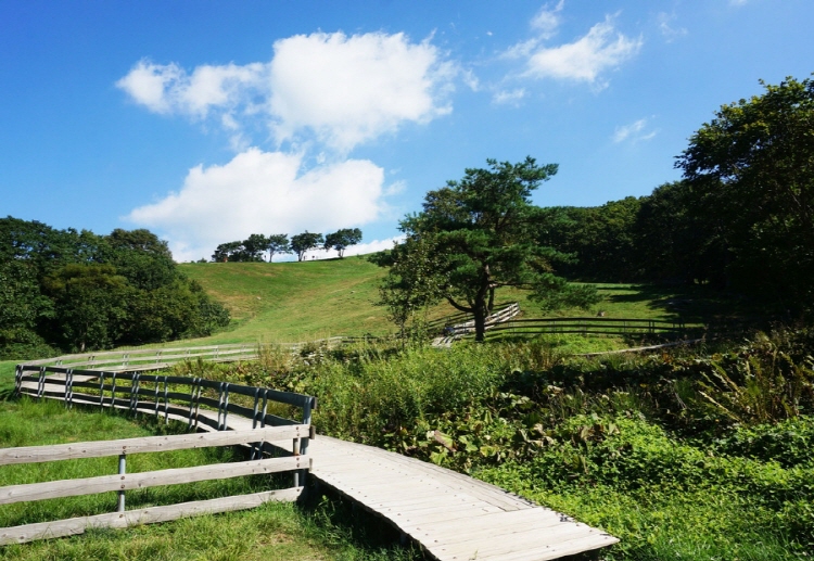평창 가볼만한곳