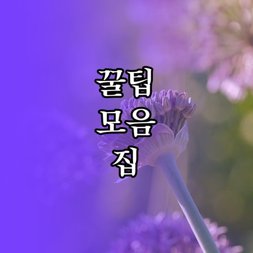 반려동물 사진 보정 앱: 흔들림, 어..