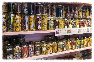 감천마을꽃차차