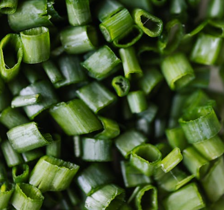 대장에 좋은 음식