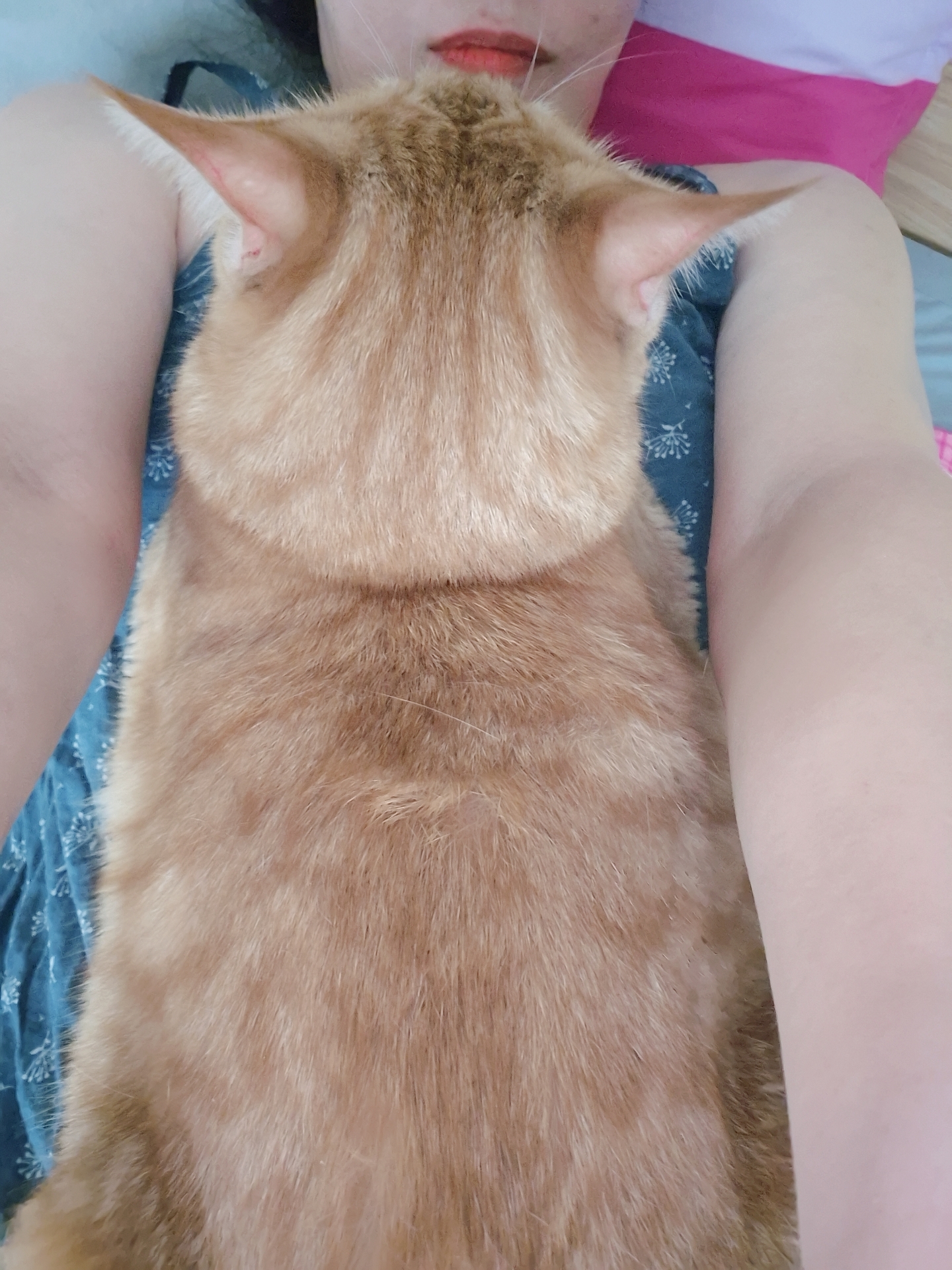 제주도 협재해수욕장에서 공항가는길. 폭우