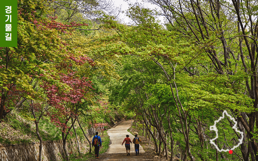 [경기둘레길 안성 42코스 경기물길] 신명나게 걷는 청룡사부터 서운면사무소까지