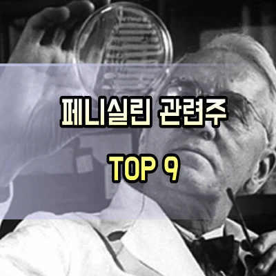 페니실린 관련주