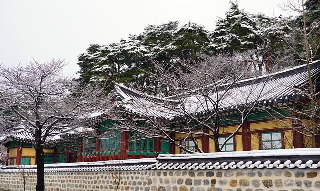 겨울 여행지