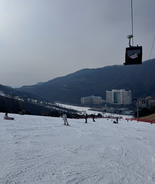 비발디파크