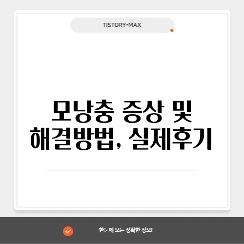모낭충 증상 및 해결방법, 실제후기