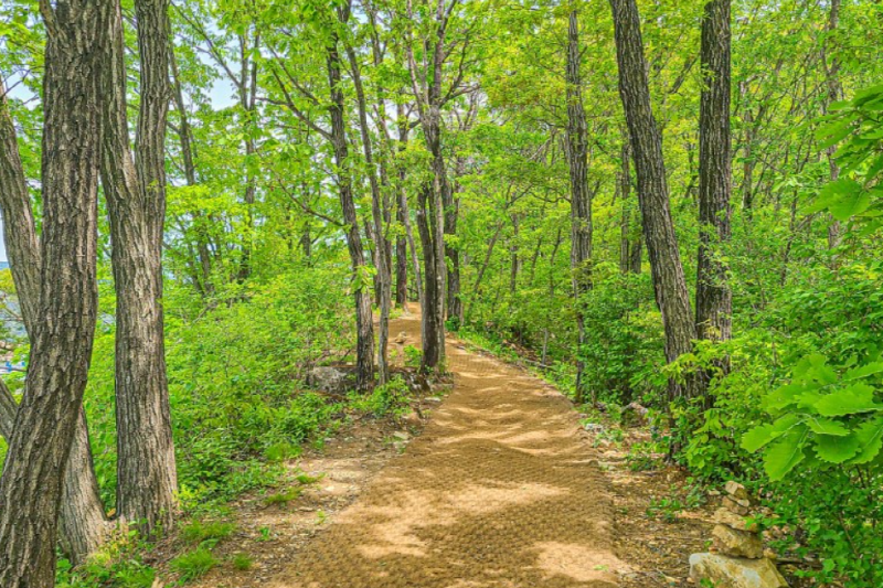 문경 봉명산 출렁다리