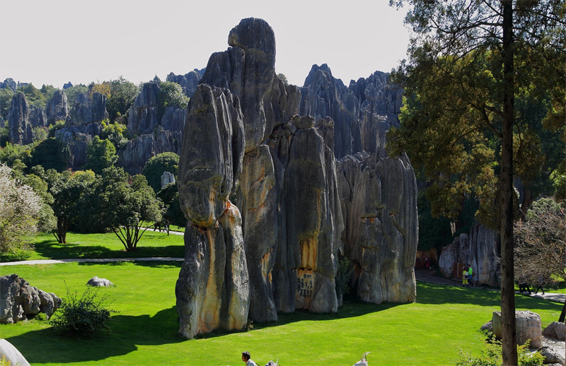 쿤밍 돌 숲 공원