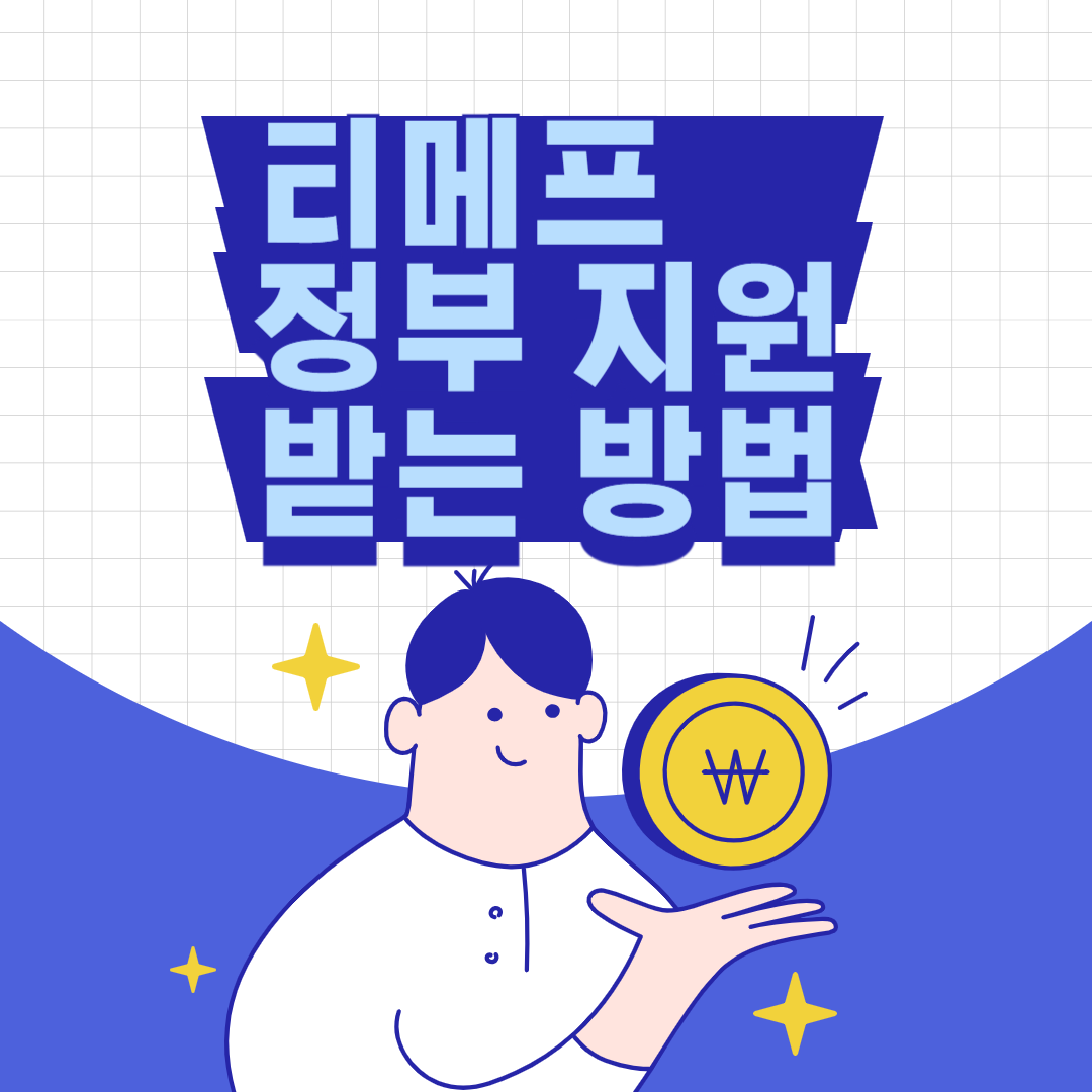 티메프 피해 정산 정부 지원