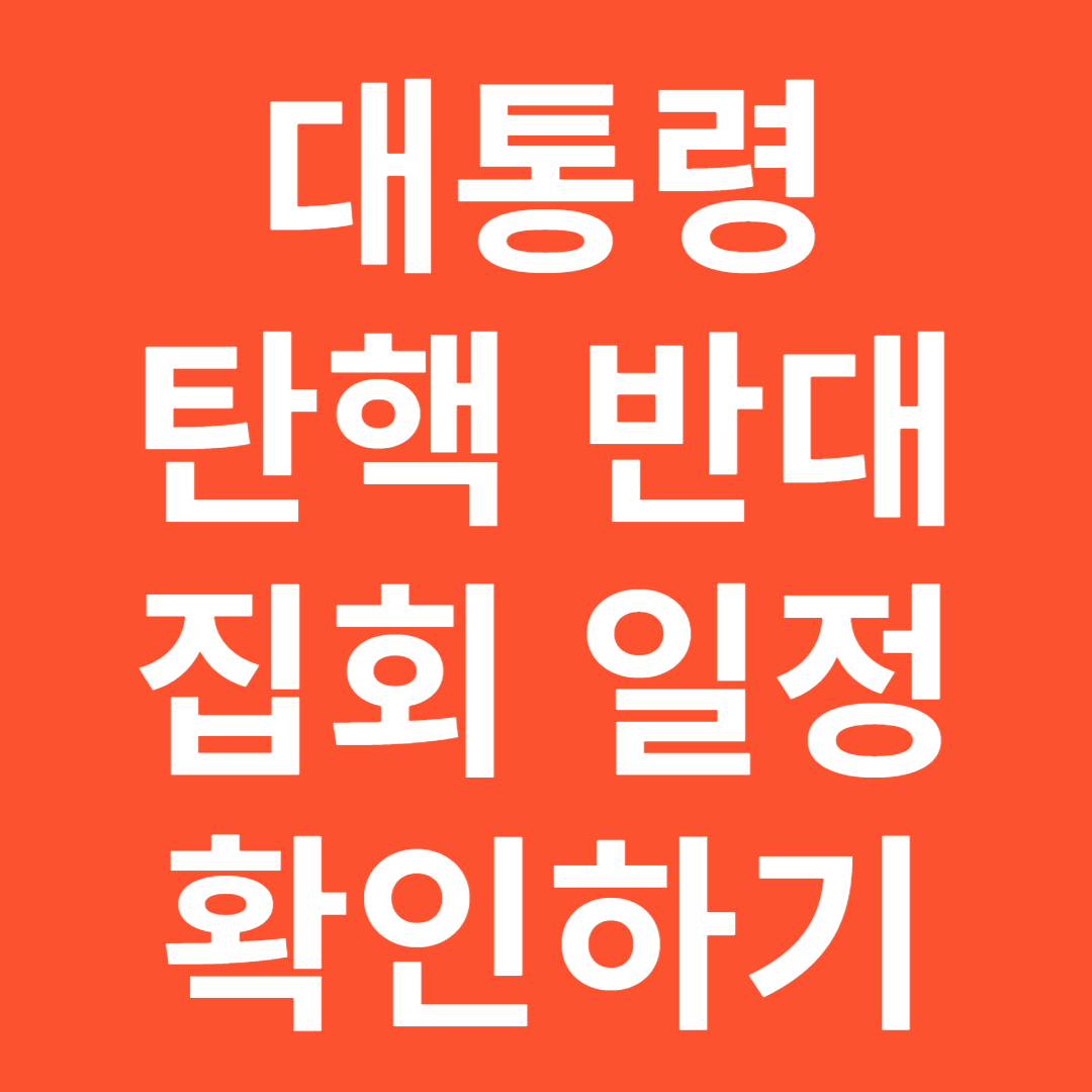 대통령 탄핵 반대 집회 일정