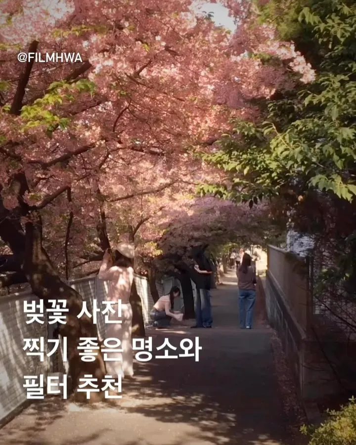 필름화 살펴보기 8