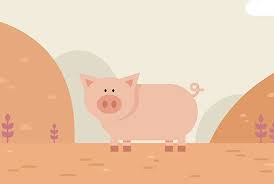 2026년 병오년&amp;#44; 돼지띠 운세 정리