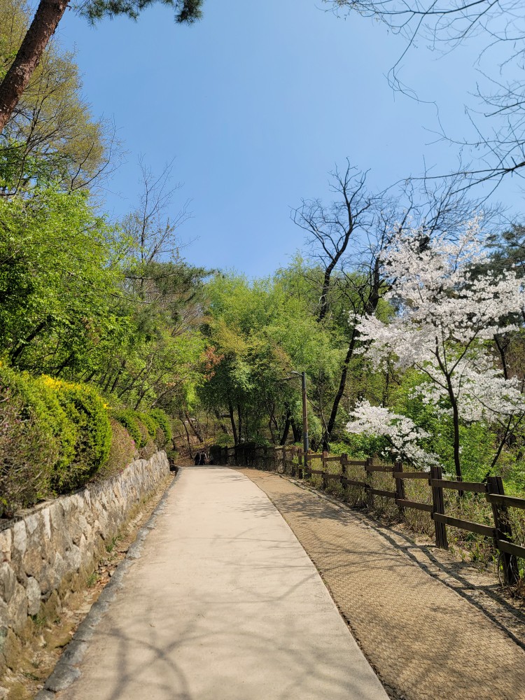 북악산 삼청공원