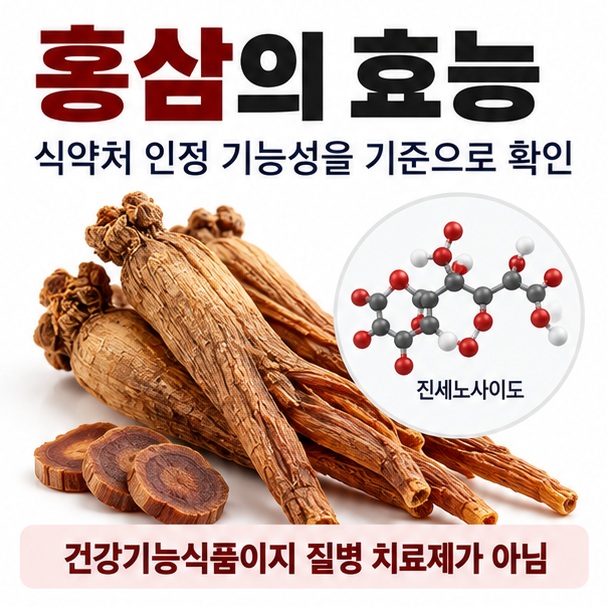홍삼의 효능이라는 제목과 홍삼 뿌리, 진세노사이드, 면역력과 피로개선을 상징하는 아이콘을 함께 표현한 대표 이미지