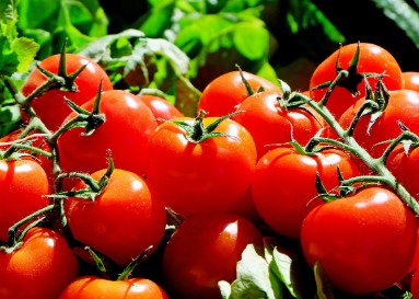 근육이 당신의 노화를 결정한다!