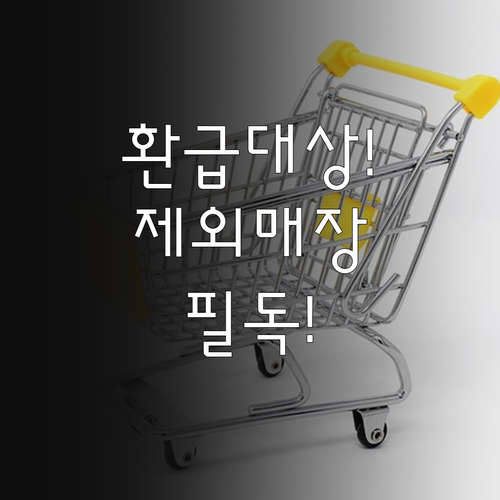 상생소비지원금 환급 대상 업종과 제외..