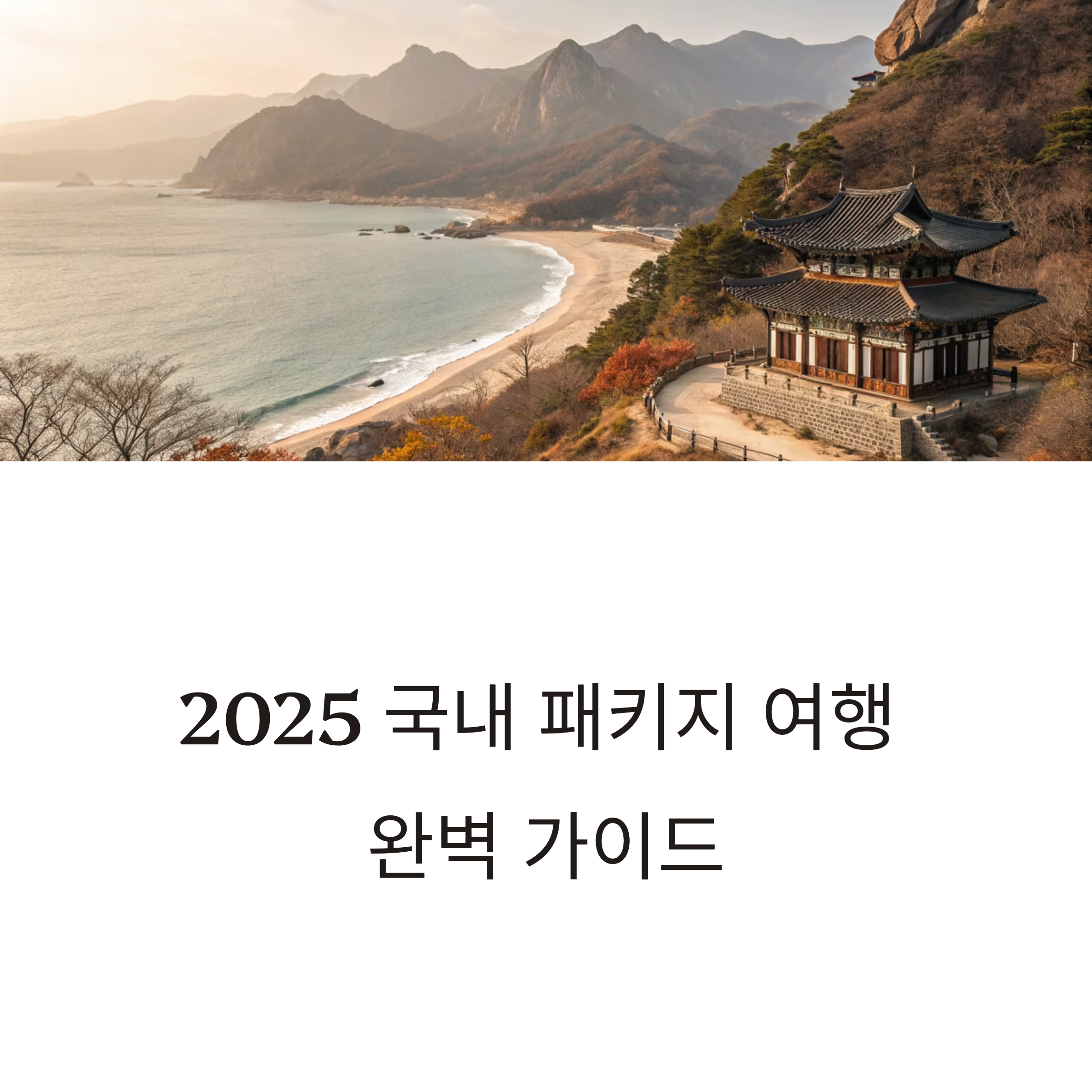 국내 패키지 여행
