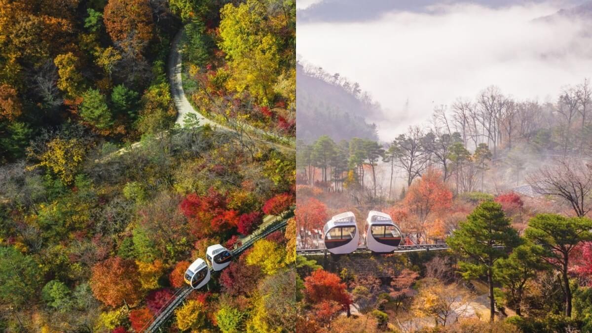 화담숲 예약하기 &amp;#124; 100% 성공하는 팁