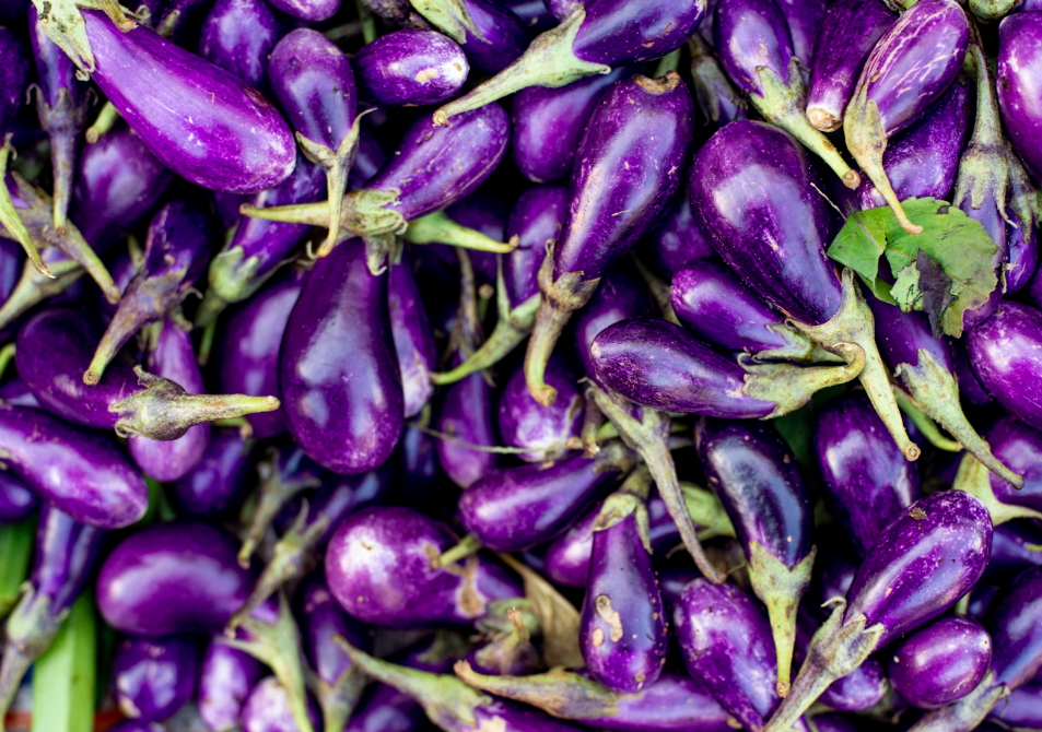 가지의 효과와 부작용&amp;#44; 가지요리의 종류