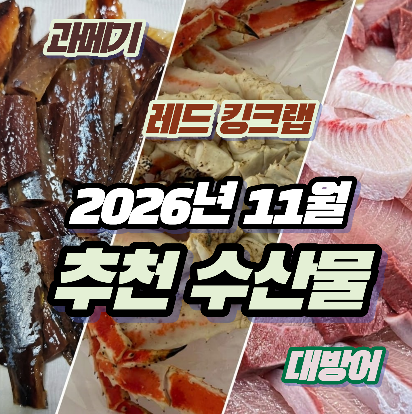 [26년 11월 제철 수산물] 본격적인 겨울 바다의 맛! 대방어, 레드 킹크랩, 과메기 추천