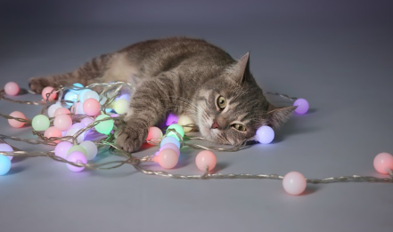 감전이 되었다.