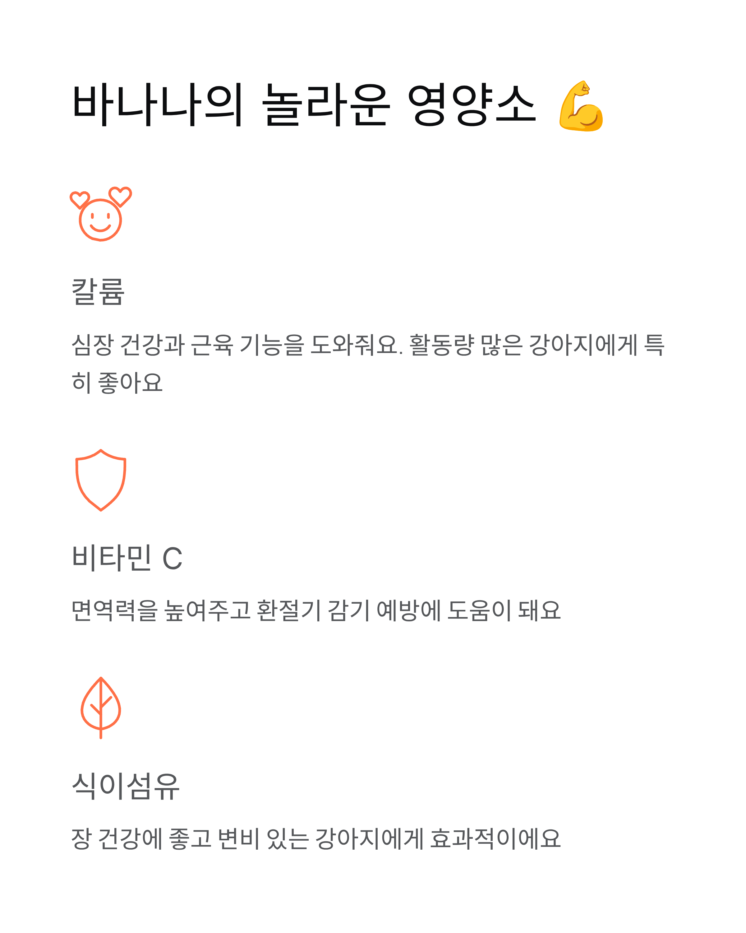 강아지 바나나 먹어도 되나요 급여량 효능 주의사항 - 완벽 가이드! 🍌