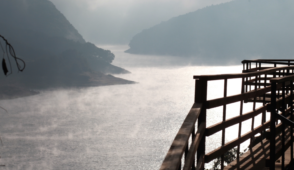 옥천/핫플레이스/대청호/천상의/정원/수생학습식물원