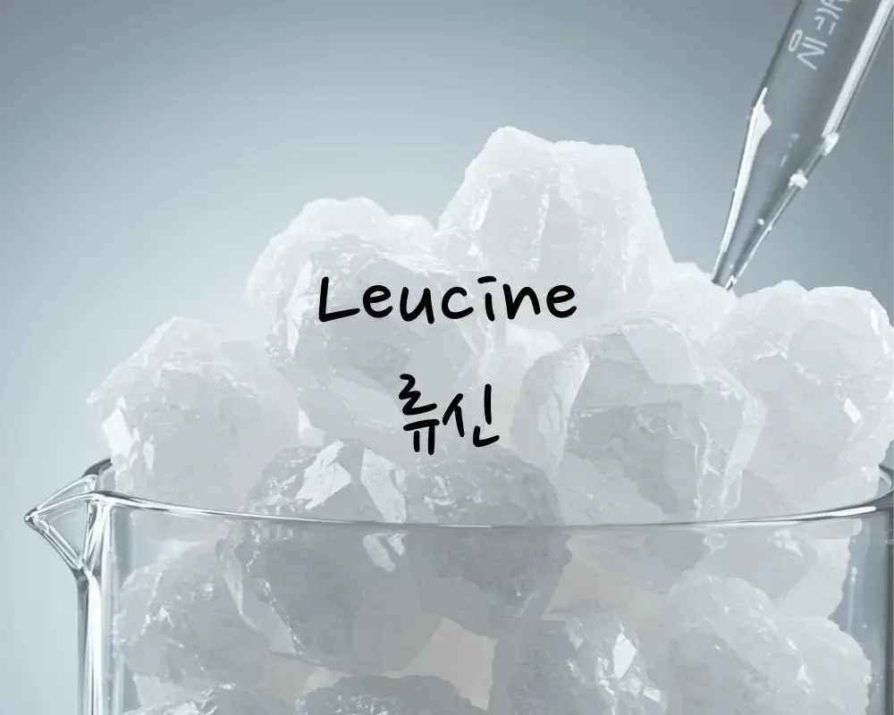필수 아미노산 류신
