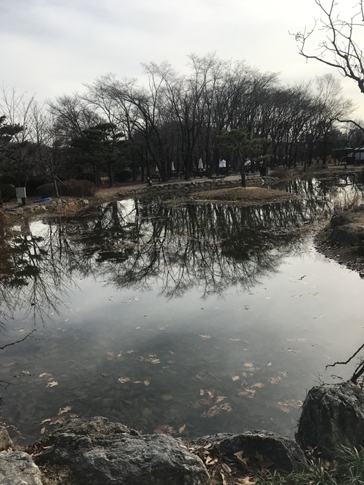 플렌테이션 연못