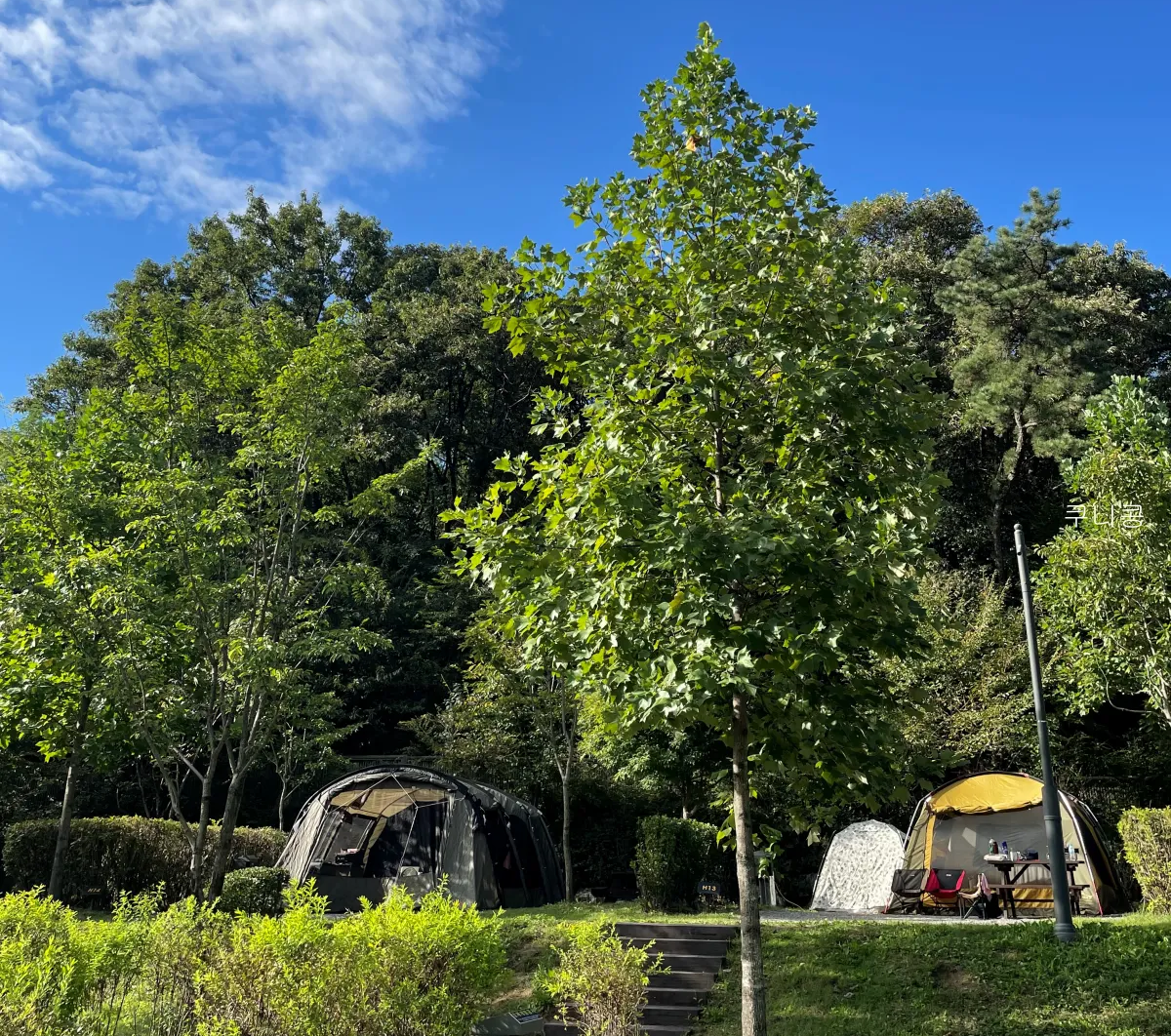 캠핑장-쉽게-알아보는-방법,-지역-선택해서-찾아보고-예약까지-가능한-사이트-및-어플-3가지-추천