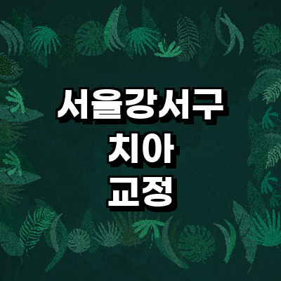 서울 강서구 교정 치과