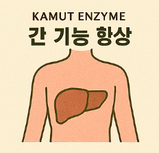 카무트 효소 효능