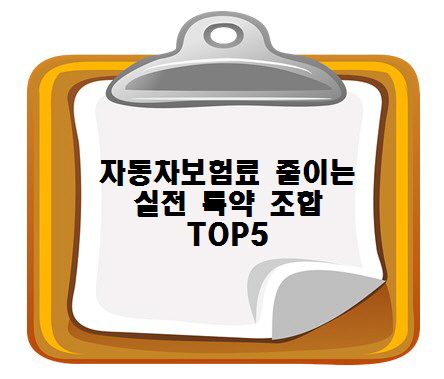 자동차 보험료 줄이는 실전 특약 조합 TOP 5 (2025년 최신)