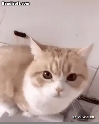 img.webp?credential=yqXZFxpELC7KVnFOS48ylbz2pIh7yKj8&expires=1767193199&allow_ip=&allow_referer=&signature=DiS3feDIExkoGzz17ofjZ17HVqg%3D