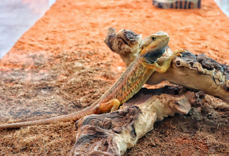 이천시 환경학습관