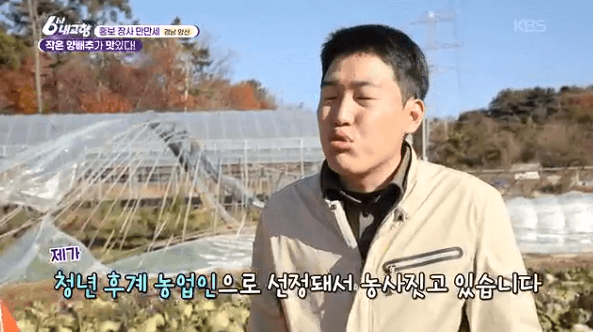 [6시내고향] 경남 양산 소형 양배추 명촌농원 스마트스토어 택배 판매처 정보를 설명하는 이미지