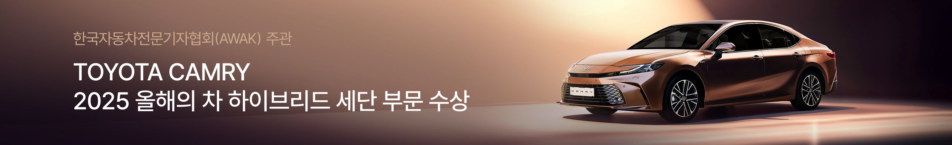 도요타 캠리 XLE