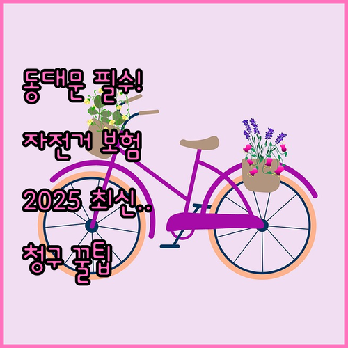 별도 신청 없는 2025 동대문구민 ..