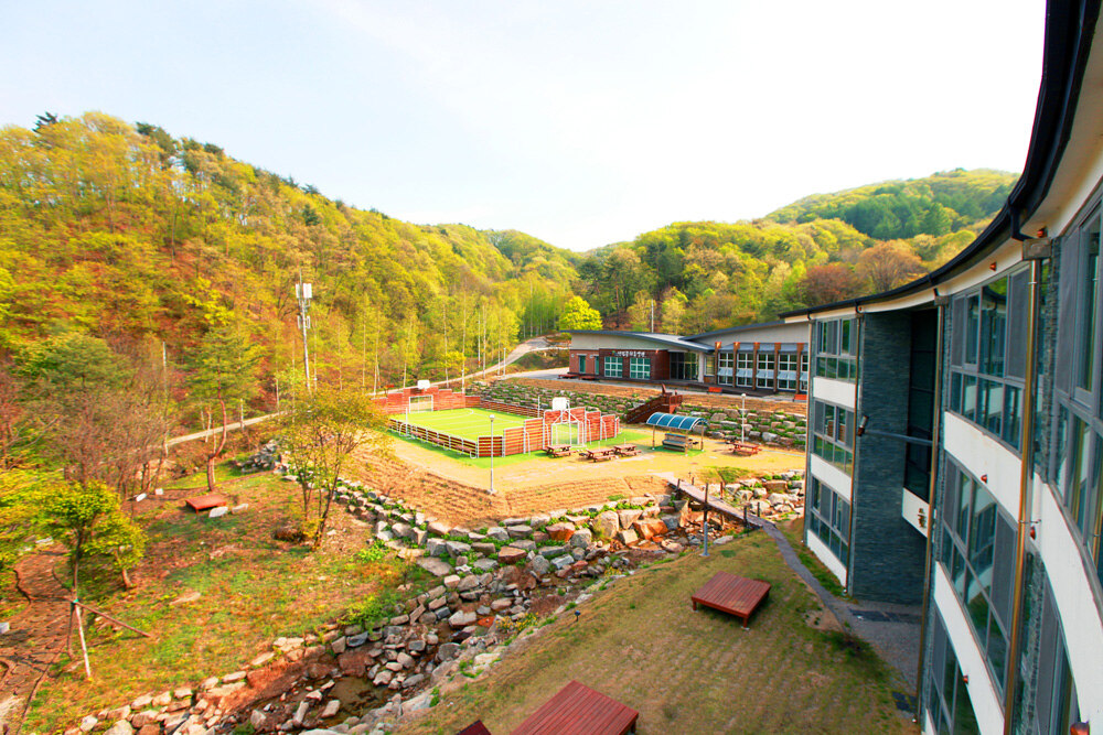 강원도 평창 자연휴양림 위치 숙소 주변 계곡 물놀이 할인 날씨 정보