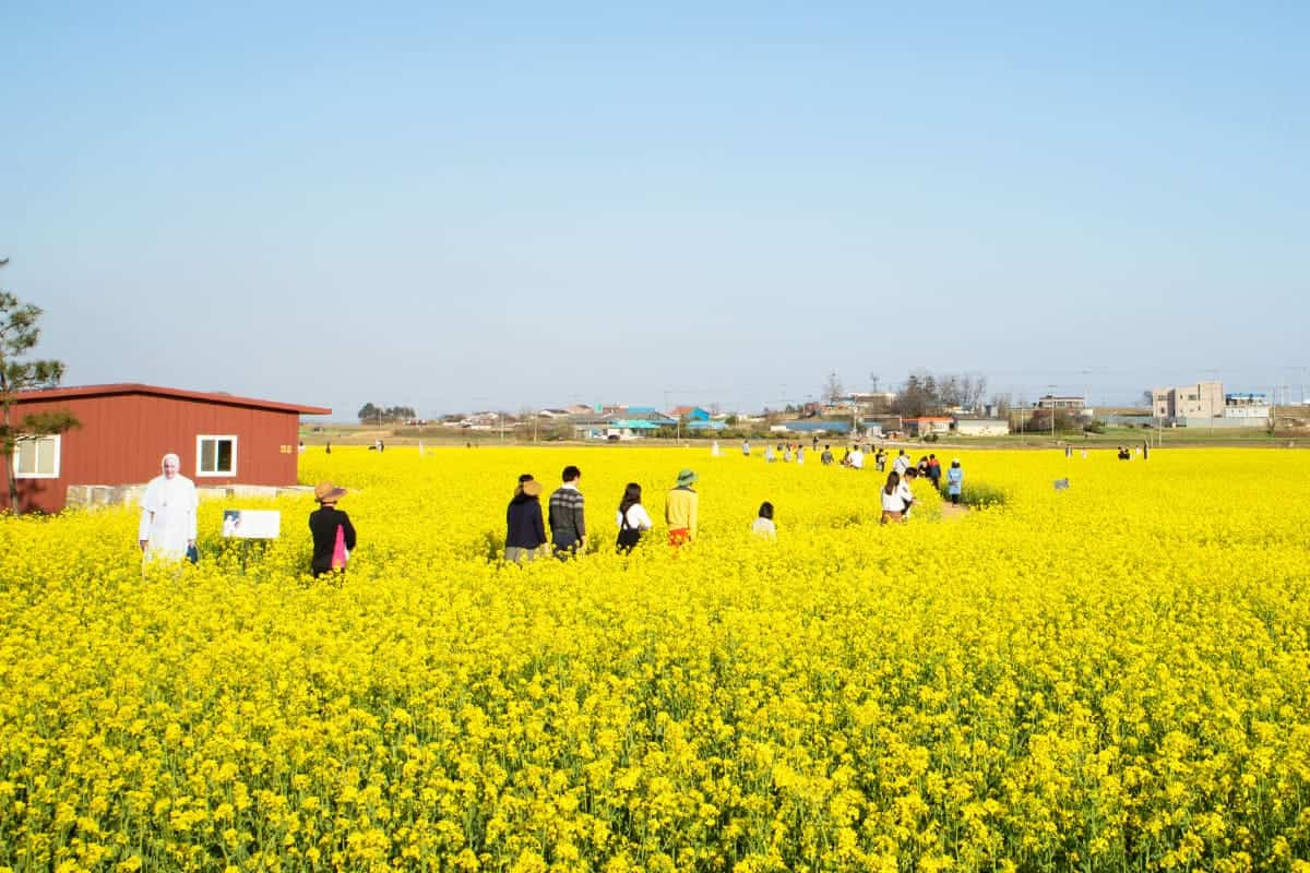 당진 가볼만한곳 베스트10
