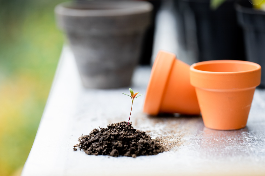 아이와 함께하는 가드닝 프로젝트 👧👦