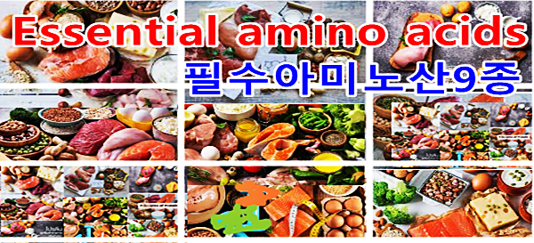 필수아미노산