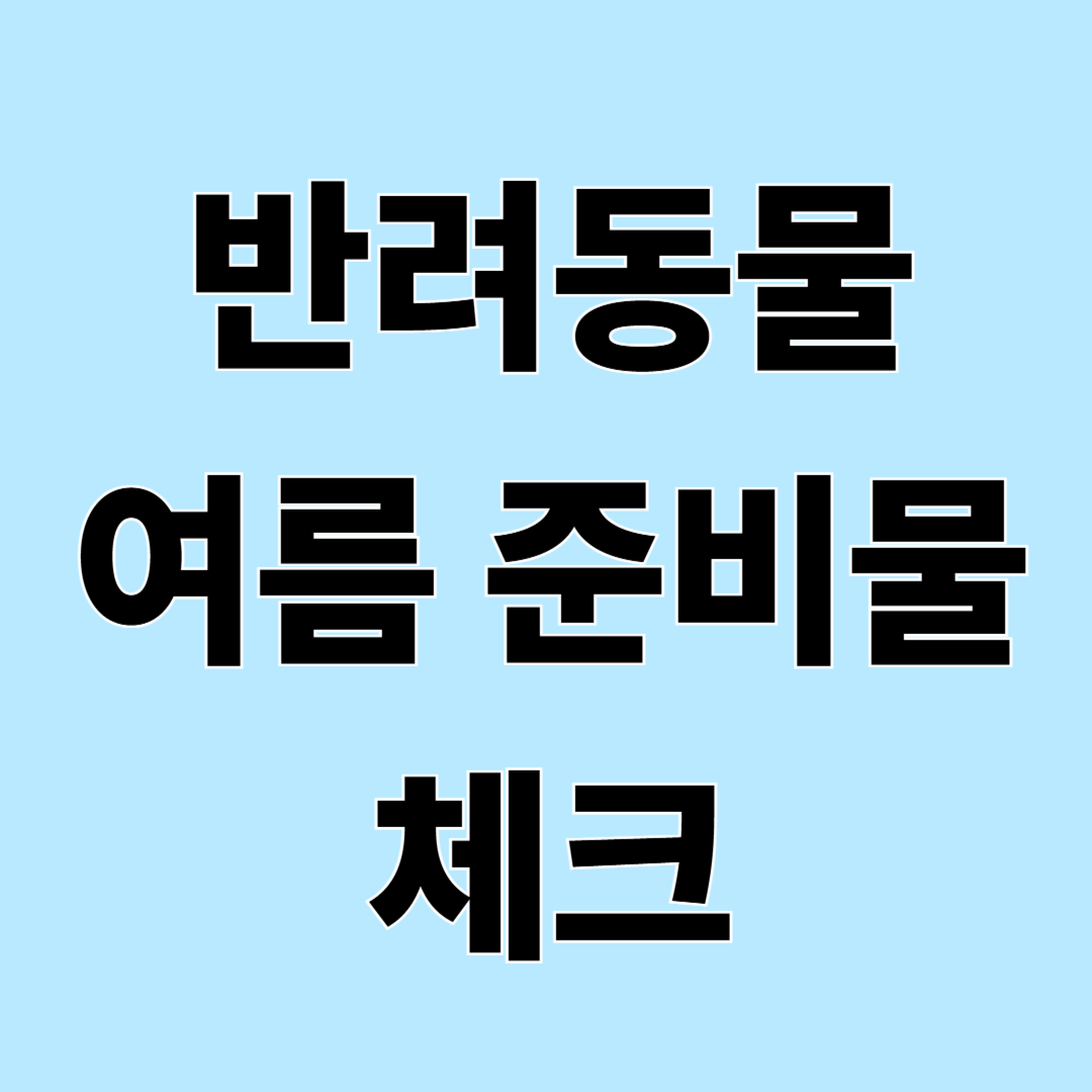 반려동물 여름철 응급용품과 상비 준비물 체크리스트