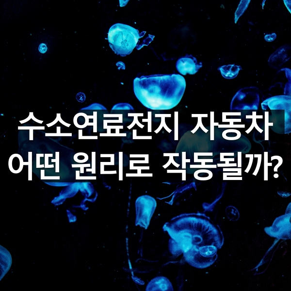 수소연료전지 자동차 어떤 원리로 작동될까? (수소전기차 작동 원리)