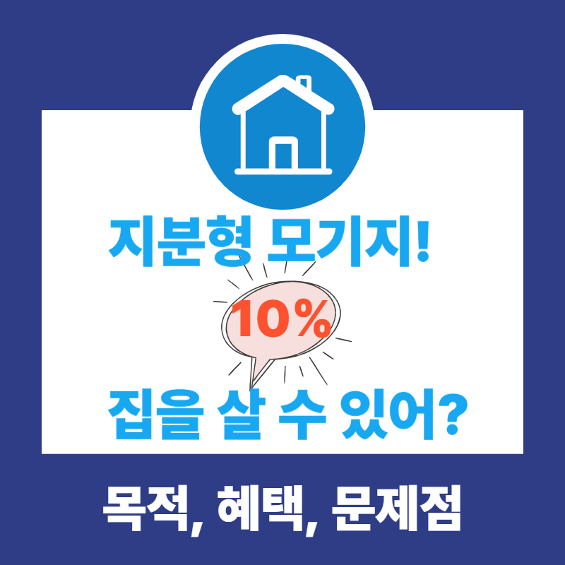 지분형 모기지의 효과, 목적, 혜택, 문제점