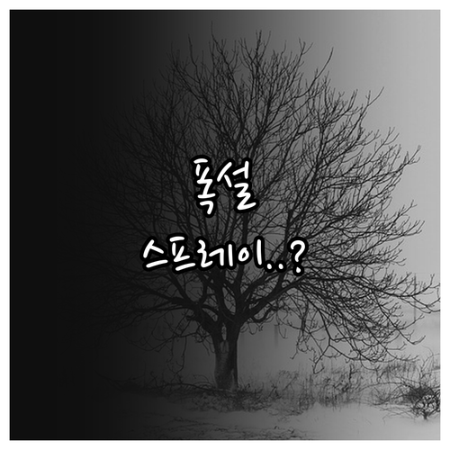 스프레이 체인 사용 한계점과 폭설 상..