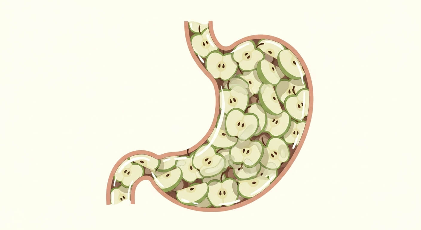 포만감 유지: 겨울철 과식 예방과 체중 관리에 적합한 섭취법